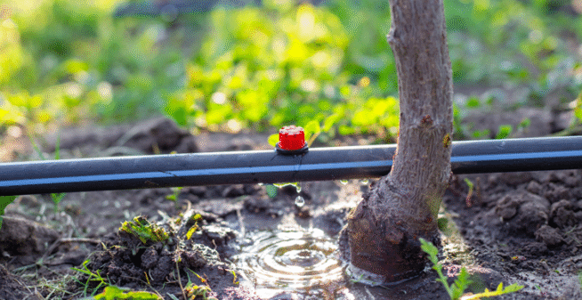 Deep Watering Systems Hesperia CA