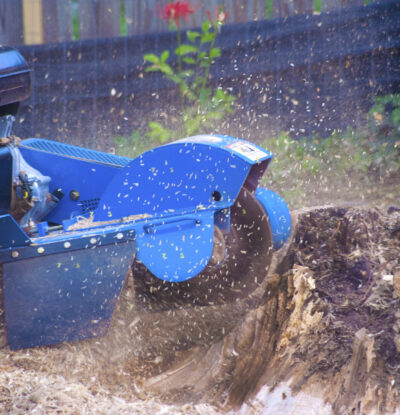 Stump Grinder at Work Stump Grinding