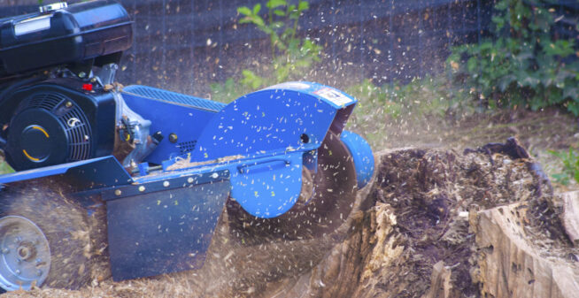 Stump Grinding
