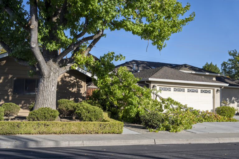 tree trimming Hesperia
