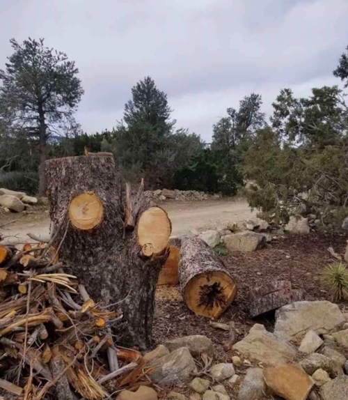 Tree Removal Hesperia